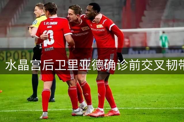 水晶宫后卫里亚德确诊前交叉韧带撕裂 赛季恐提前报销